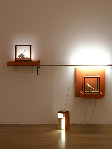 three studies